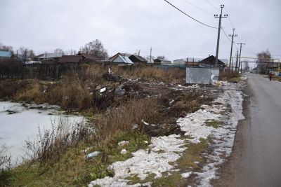 Мензелинцы и «Чистый город» засорили пруд