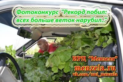 Фотоконкурс "Рекорд побил: всех больше веток нарубил.."