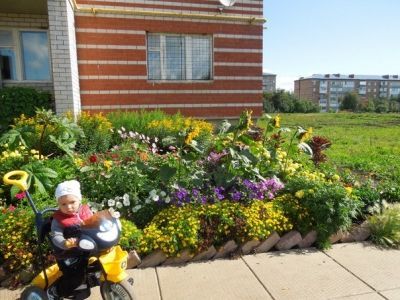 Поздравляем Марину Попову с победой в финале фотоконкурса «Мой цветущий сад»