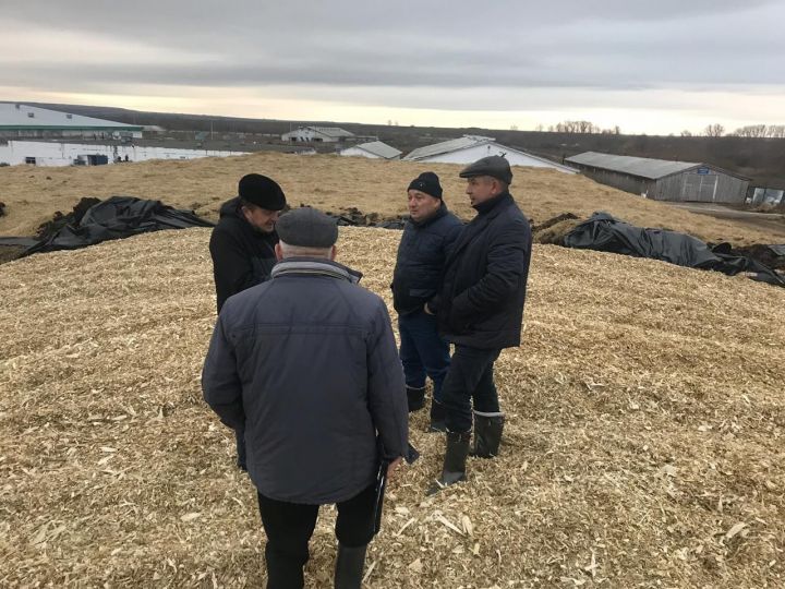 Глава  Мензелинского района ознакомился ходом зимовки в хозяйствах