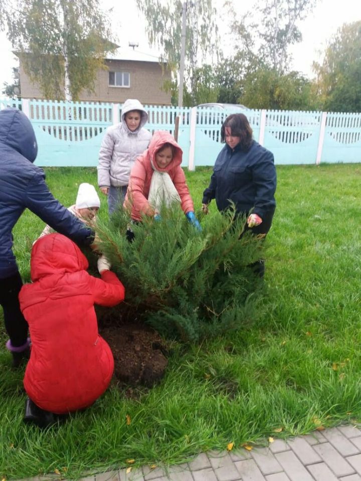 В детских садах Мензелинска проходят субботники