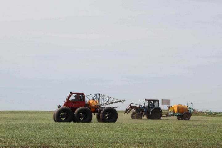 У мензелинских аграриев и после посевной полно работ