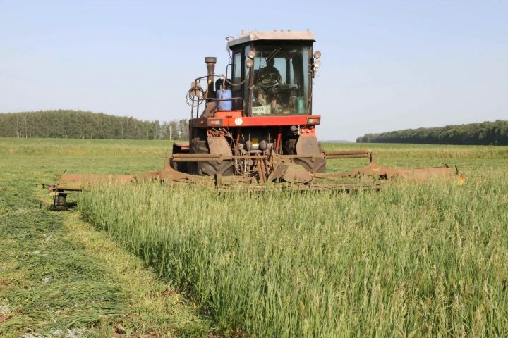 Мензелинские аграрии приступили к сенокосу