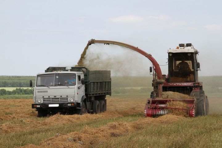 Калмурзинцы приступают к закладке сенажа