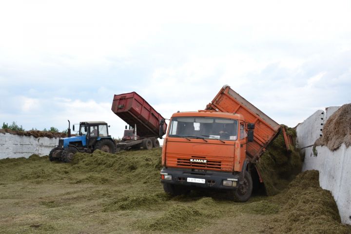 В Мензелинском районе продолжается заготовка кормов