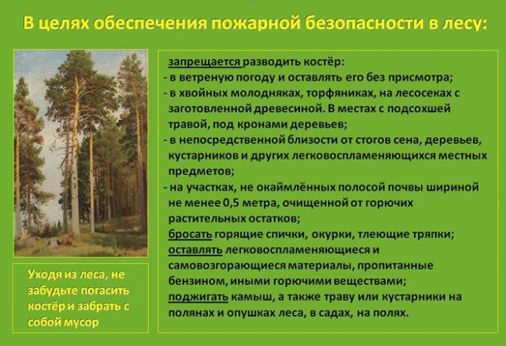 В Мензелинском МР прогнозируется 3 класс пожарной опасности в лесах!  РЕКОМЕНДАЦИИ….