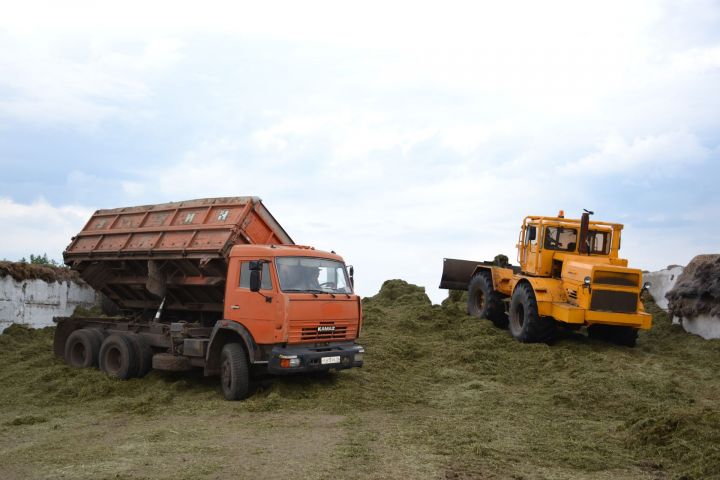 В Мензелинском районе продолжается закладка сенажа и начинается жатва