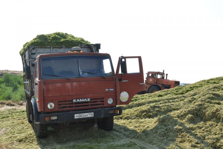 Хозяйство "Заиковский" в текущем году заложит 10 тыс. тонн сенажа