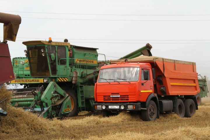 Уборка в Мензелинском районе завершена на 29%