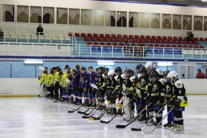 В Мензелинске открыли сезон по хоккею