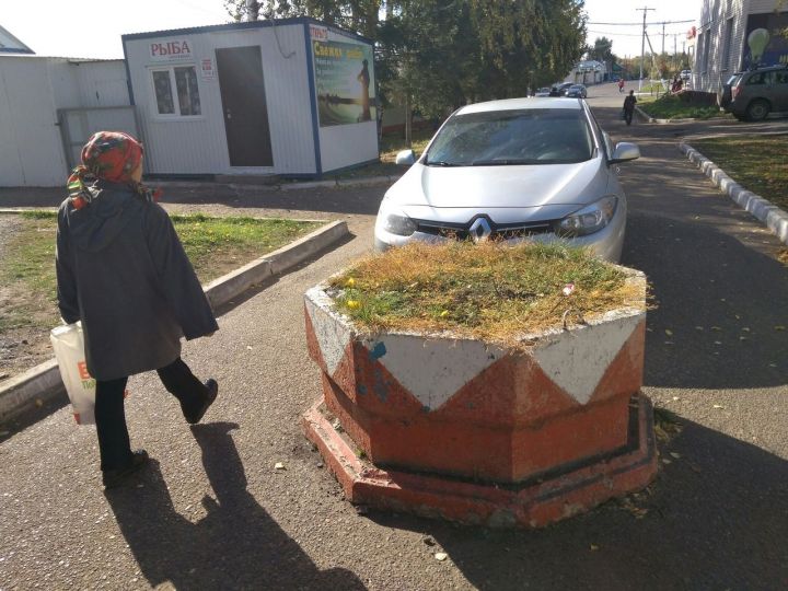 В какой статье ПДД написано, что на проезжей части дороги можно поставить цветочницу?!