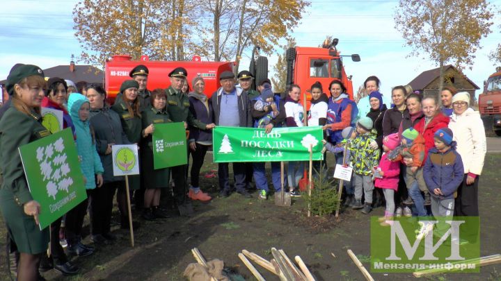 День посадки леса в Мензелинске