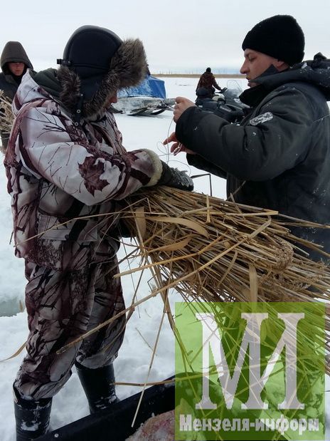 Мензелинские рыбаки спасают рыбу от замора