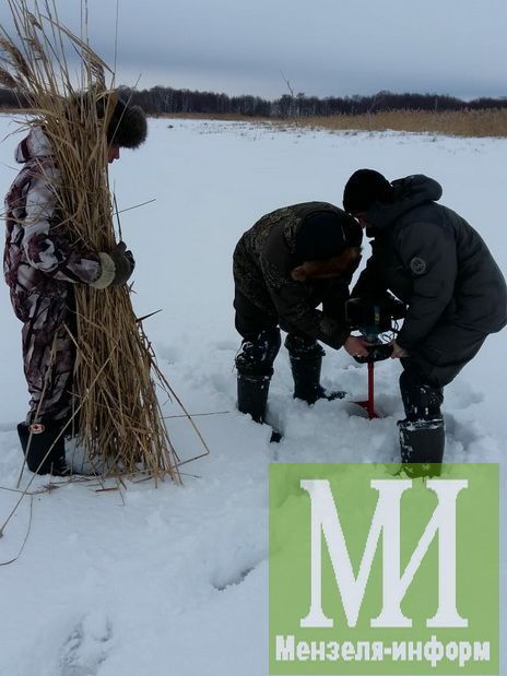 Мензелинские рыбаки спасают рыбу от замора