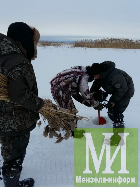 Мензелинские рыбаки спасают рыбу от замора