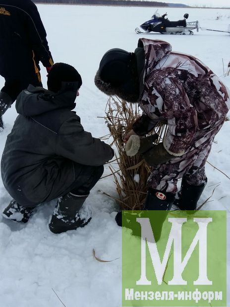 Мензелинские рыбаки спасают рыбу от замора