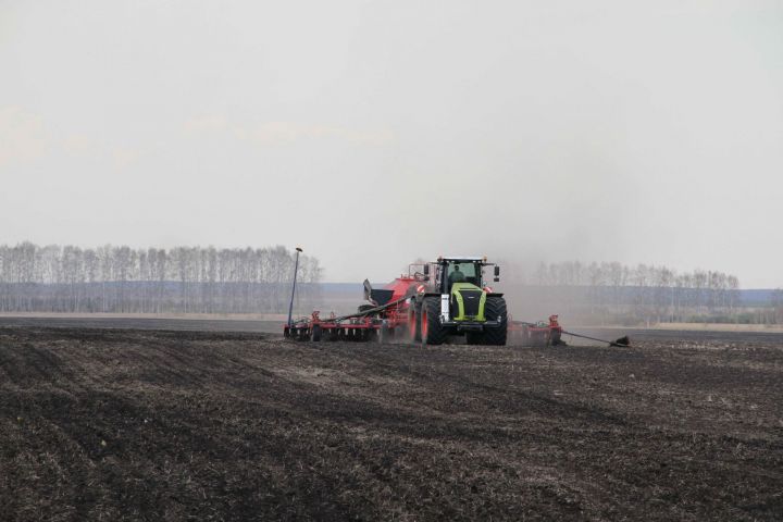 Весенне-полевые работы в Мензелинском районе набирают обороты