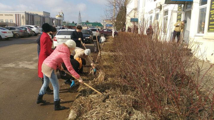 Сотрудники «Мензеля-информ» присоединились к акции #ЭКОВЕСНА