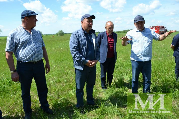 Мензелинские поля обещают хороший урожай