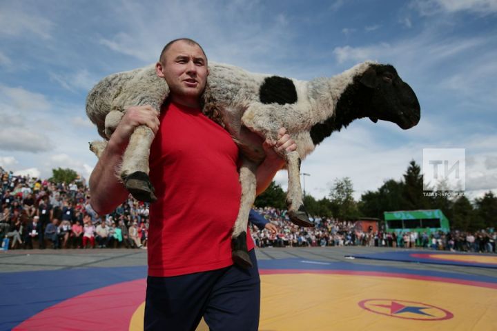 Абсолютным батыром федерального Сабантуя стал Раиль Нургалиев из Татарстана