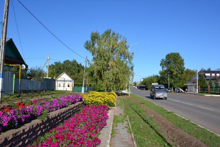 Пусть Мензелинск утопает в цветах