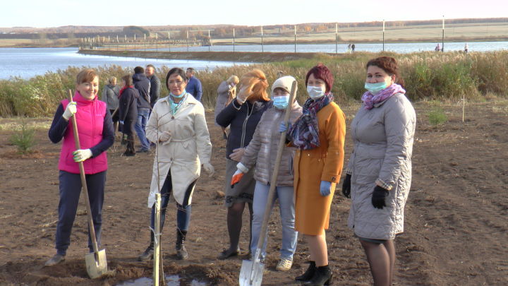 Количество деревьев в Мензелинске увеличилось еще на 100