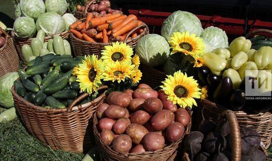 Фермеры из Татарстана смогут получить гранты за победу в конкурсе «Вкусы России»