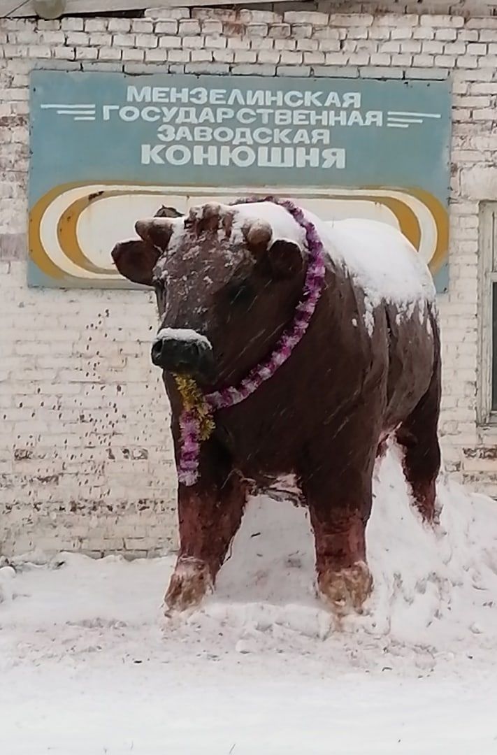 В Госконюшне Мензелинска слепили настоящего быка