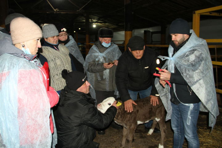 У скота тоже будет паспорт