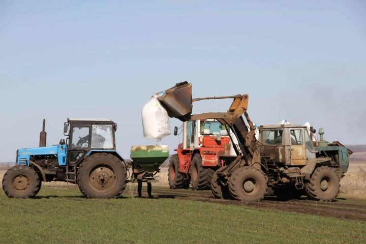 Земледельцы Мензелинского района осуществляют дополнительную подкормку озимых