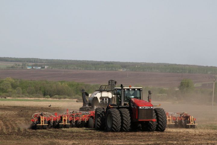 В Мензелинском районе зерновые культуры осталось посеять на 3% полей