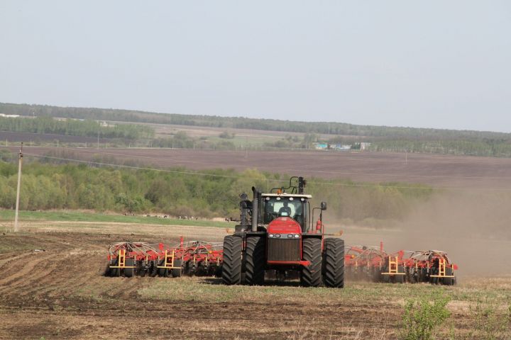 В Мензелинске завершился сев зерновых и зернобобовых культур