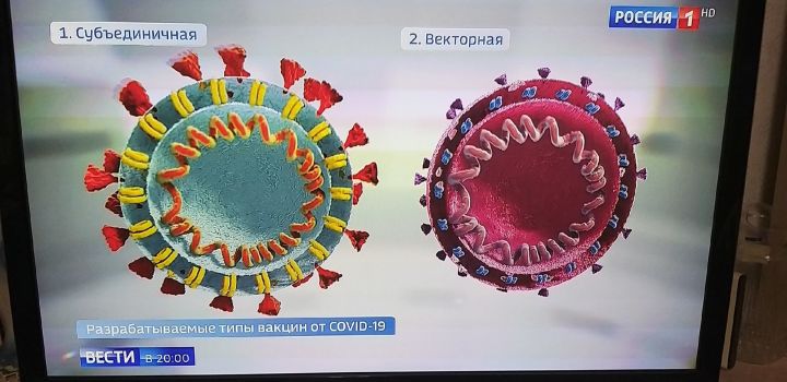 Количество диагностированных случаев пневмонии не увеличивается. Тема коронавируса по-прежнему не теряет актуальности