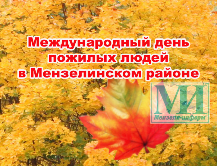 В Мензелинском районе проходят мероприятия к Международному дню пожилых людей