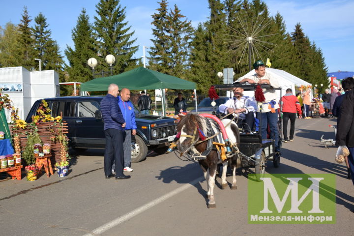 В Мензелинске пройдет праздничная сельскохозяйственная ярмарка и концертная программа «Во имя добра»