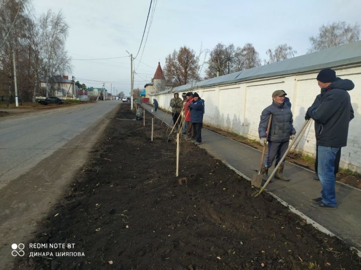 В Мензелинске посадили рябины