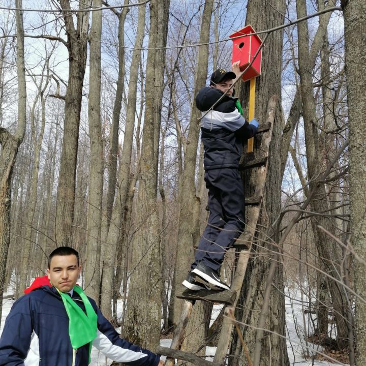 Учащиеся СОШ №2 развесили скворечники в Мензелинском участковом лесничестве