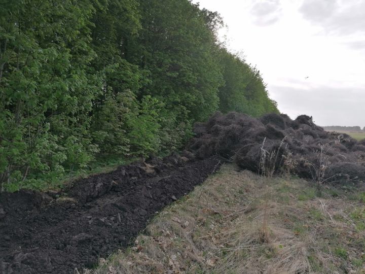 В Мензелинском районе старое сено спрятали в лесу