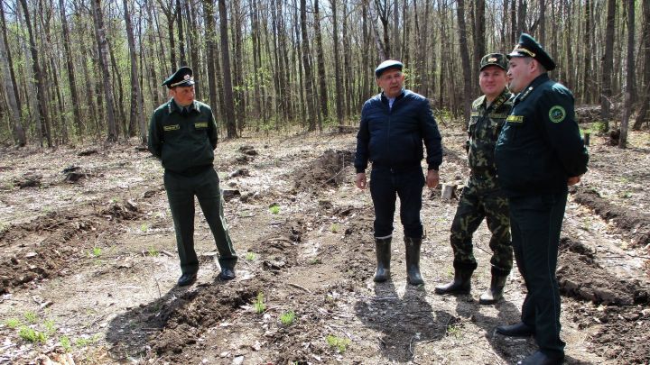 В Мензелинском районе усилят контроль за соблюдением правил пожарной безопасности в лесах