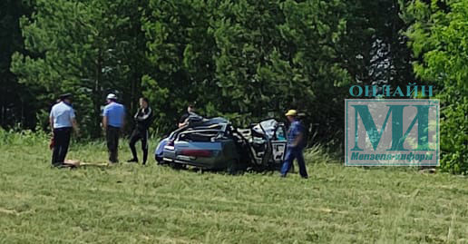 В Мензелинском районе в смертельном ДТП с лошадью погибли 3 человека