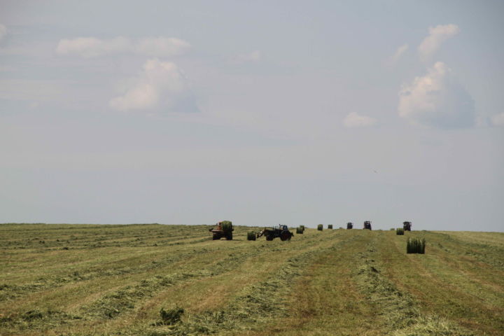 Бикбуловский луг начали косить без разрешения