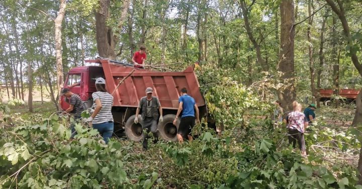 В парке имени Ленина г. Мензелинск состоялся субботник