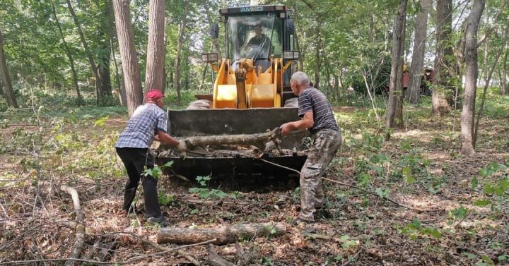 В парке имени Ленина г. Мензелинск состоялся субботник