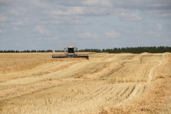 Уборка началась