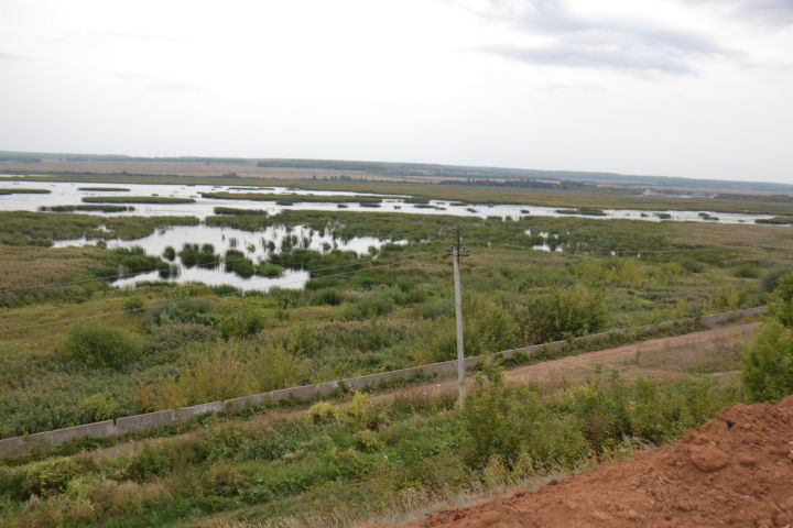 Русло реки Мензеля будет очищено от камышей