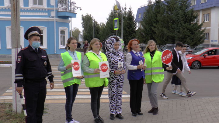 Жители Мензелинска прошли с зеброй по "зебре"