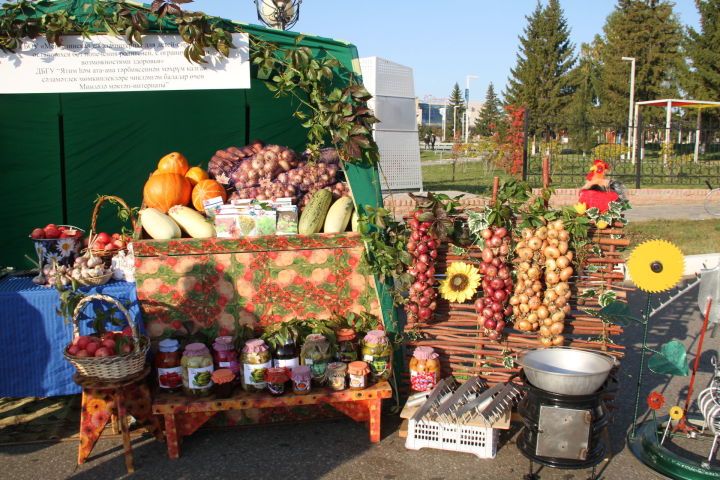 Осенняя ярмарка в Мензелинске состоится 11 сентября