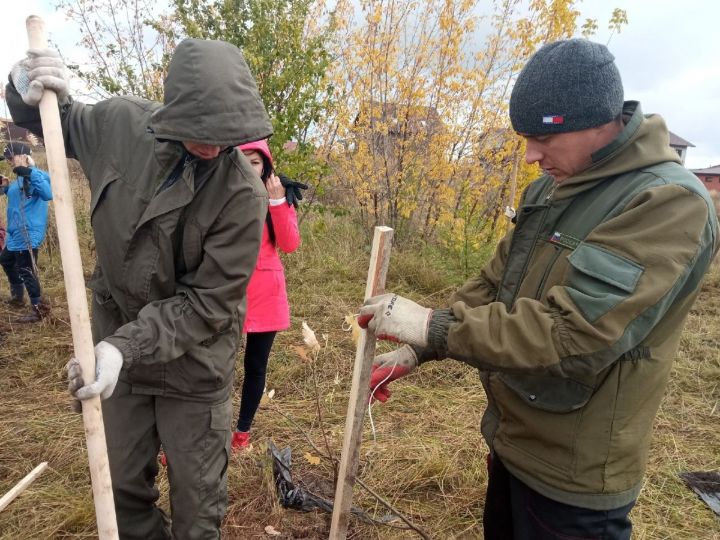 В Мензелинске состоялась акция по посадке деревьев