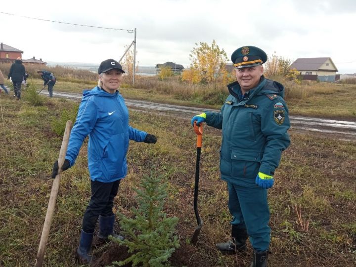 В Мензелинске состоялась акция по посадке деревьев