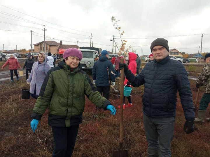 В Мензелинске состоялась акция по посадке деревьев